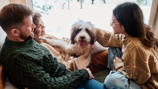 <h1>A <span class="headline-highlight">free &</span><span class="headline-highlight">simple</span> rental application system</h1>
